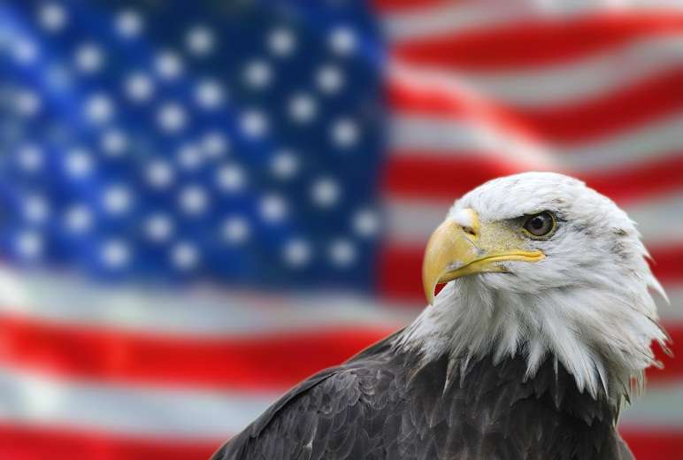 Bald-Eagle-American-flag.jpg