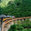 El Pacifico Train
