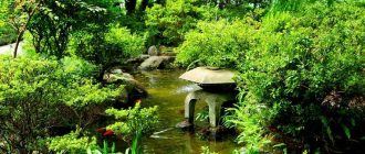 Japanese water gardens