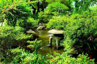 Japanese water gardens