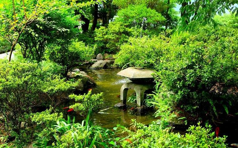 Japanese water gardens