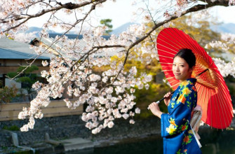 Japanese Cherry Blossom Art