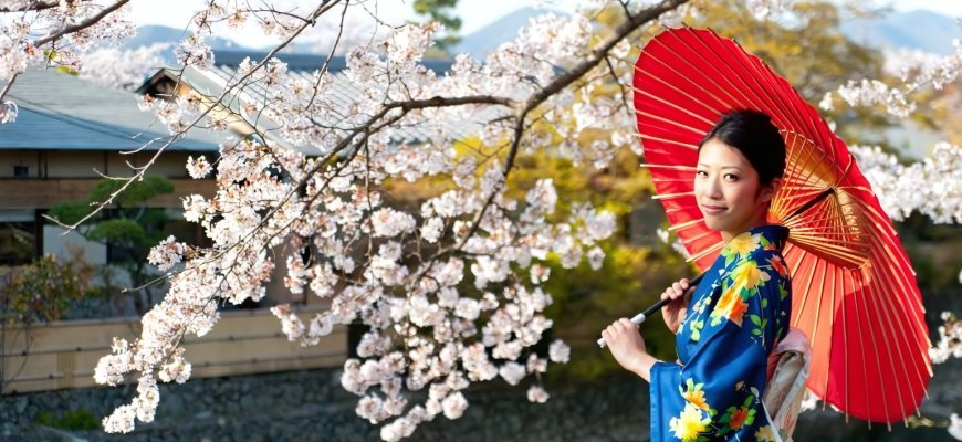 Japanese Cherry Blossom Art