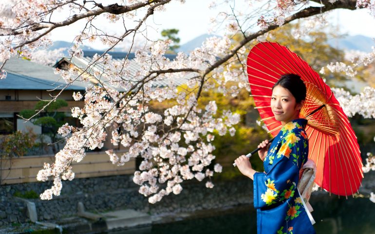 Japanese Cherry Blossom Art