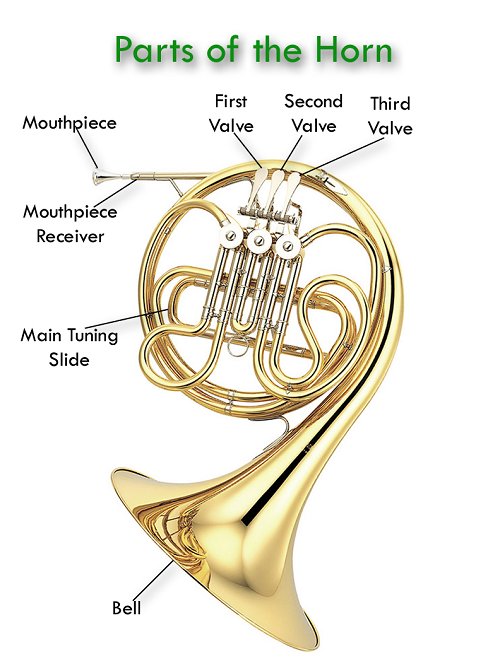 Double French Horn Parts •