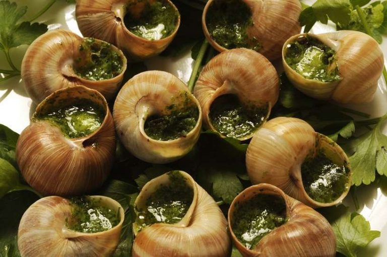 French Snails •