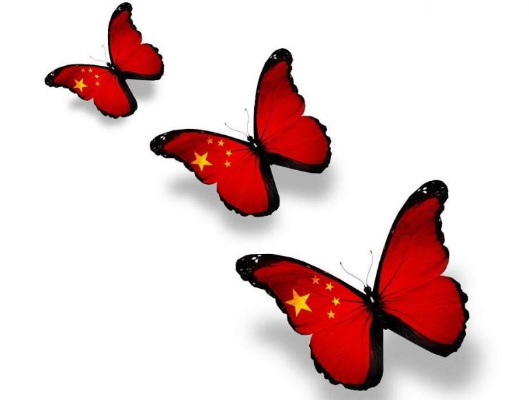 Chinese Art Butterflies