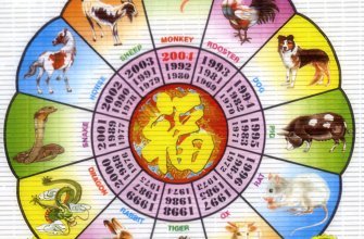 Chinese zodiac calendar with 12 hours