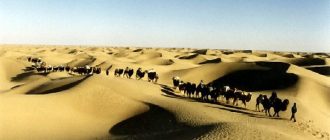 Attractions of the Taklimakan Desert