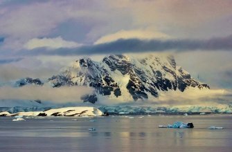 antarctica