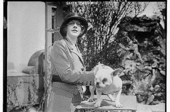 Champion French Bulldogs