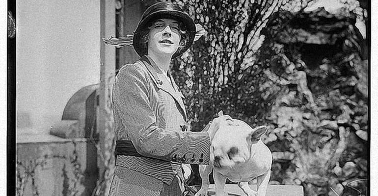 Champion French Bulldogs