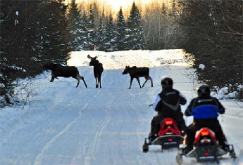 Snowmobiling in Maine