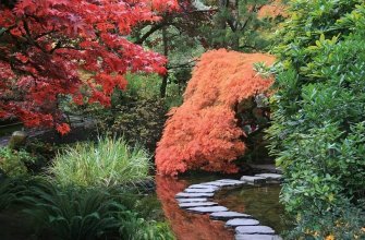 Modern Japanese Garden