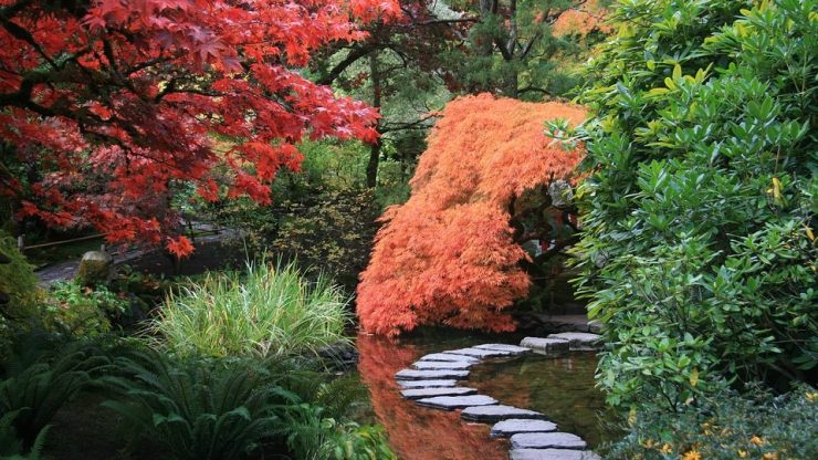 Modern Japanese Garden