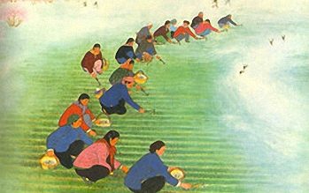 Nong Class – Peasant Farmers