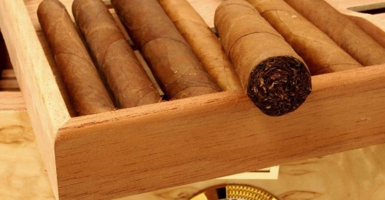 Cuban Cigar