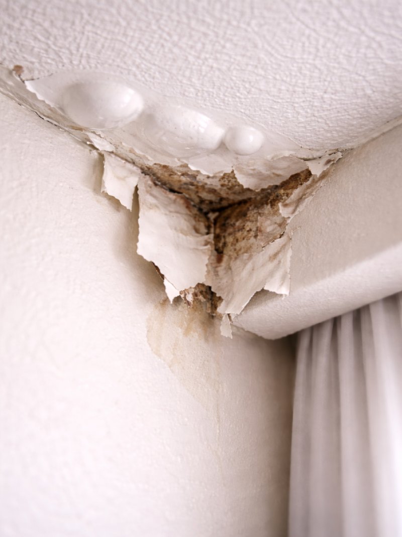 Bubbling paint and peeling drywall