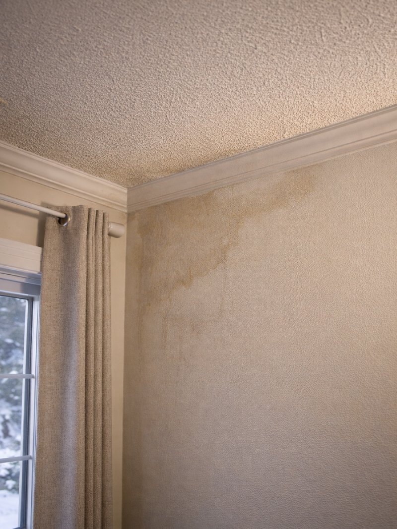 Ice dam evidence near eaves