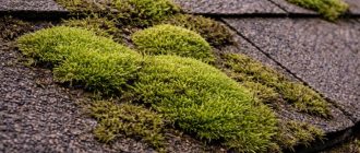 Moss growth patches on shingles