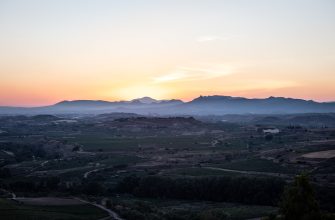 Spanish vineyard rows in La Rioja with stone bodega