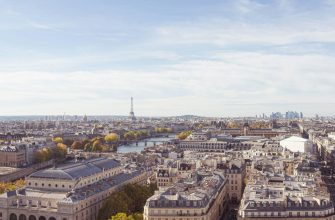 Aerial view of Paris rooftops with Eiffel Tower and Haussmann architecture