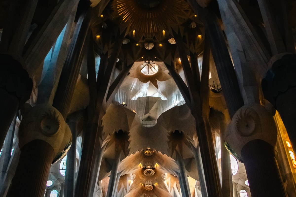 The tree-like branching columns and vaulted ceiling inside the Sagrada Familia