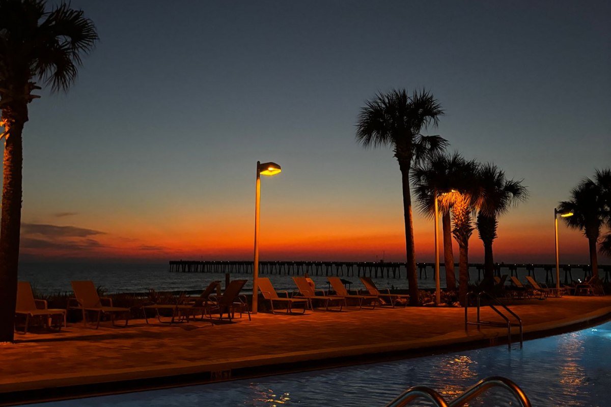 A poolside and palm trees by a Florida beach with a pier at sunset