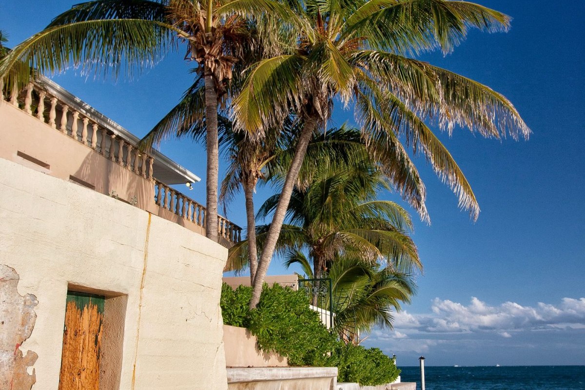 Palm trees and gentle waves on a Florida Gulf Coast beach