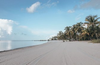 A white-sand beach with palm trees under a clear blue sky in Key West, Florida