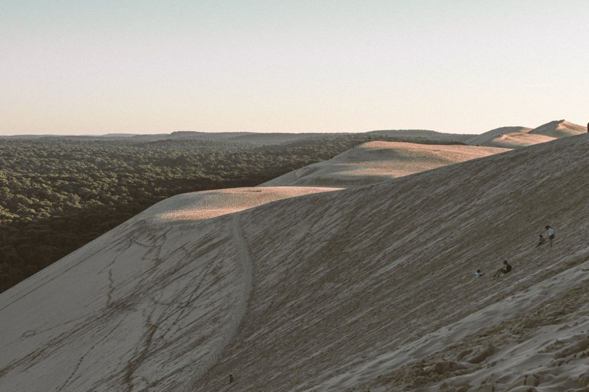 The Dune du Pilat, the tallest sand dune in Europe, beside its pine forest