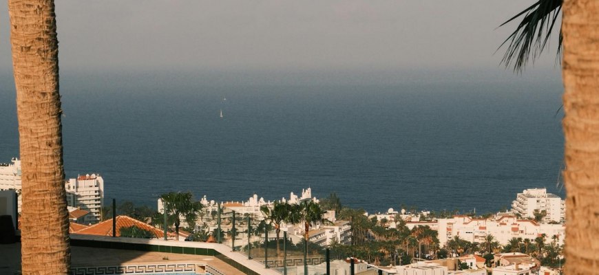 Holiday apartment terrace with a pool and palm trees by the sea