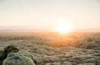 Moss-covered Eldhraun lava field from the Laki eruption at sunset in Iceland