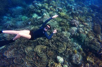 A snorkeller swimming over a coral reef