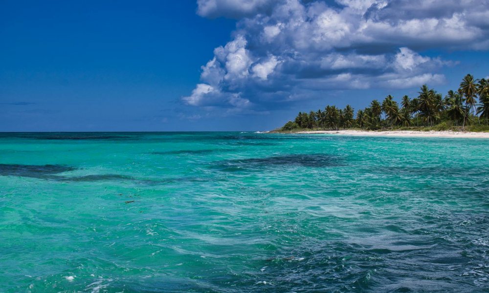 A palm-lined Bahamian beach and turquoise sea
