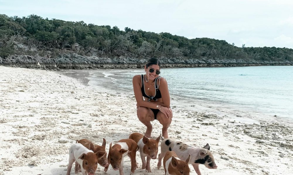 Piglets on the beach at Big Major Cay in the Exumas